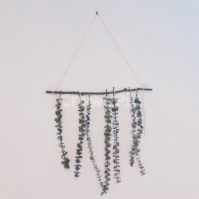 벽,벽걸이장식,월행잉,월데코,wall