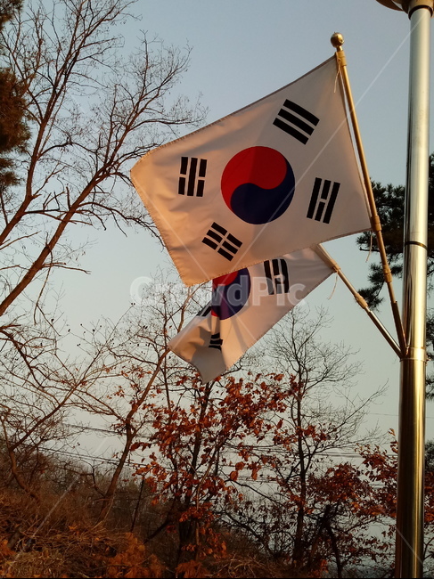 태극기,삼일절,국기,광복절,깃발,대한민국
