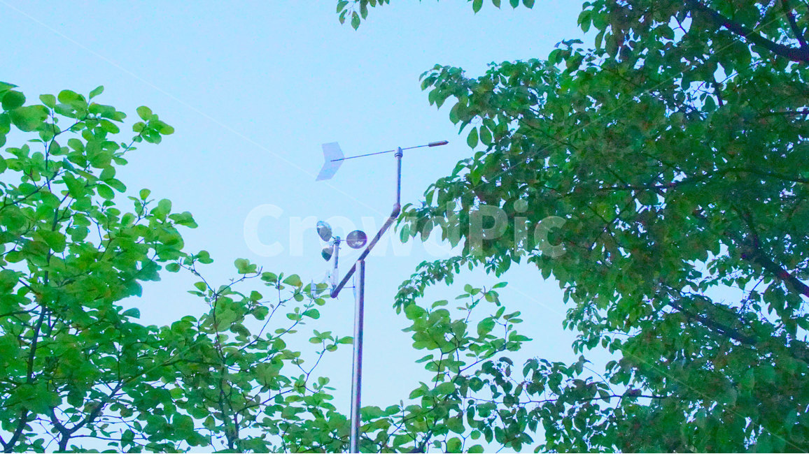 여름,쳥량한,바람,초록,하늘,자연,풍경,nature,landscape,lamp post,램프 포스트