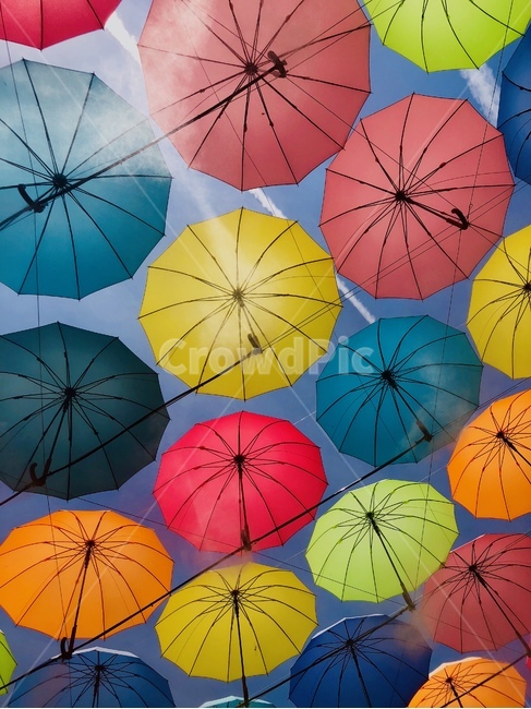 우산,알록달록,색감,하늘,감성,에버랜드,umbrella