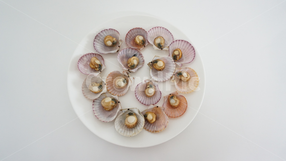 가리비,가리비찜,술안주,소주안주,조개찜,조개,해산물,요리,시푸드,seafood,음식,식재료,요리,food,cook,meal,dishes,food reserves,수산물,해산물,fishery products,seafood