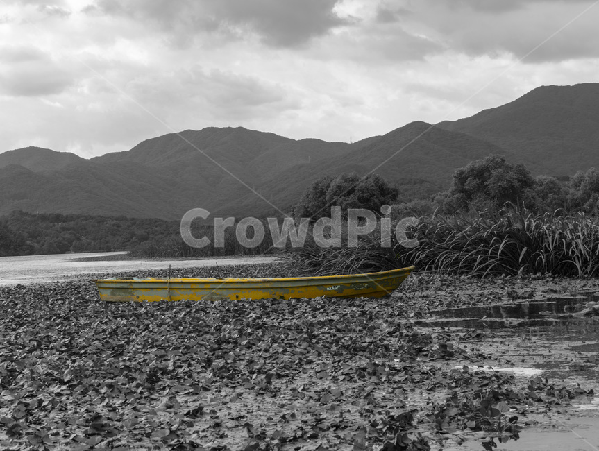 두물머리,양평,나룻배,흑백,자연풍경,자연,풍경,nature,landscape