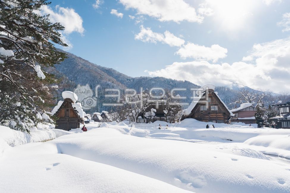일본,시라카와고,나고야,눈풍경,눈,snow,일본가옥,일본겨울