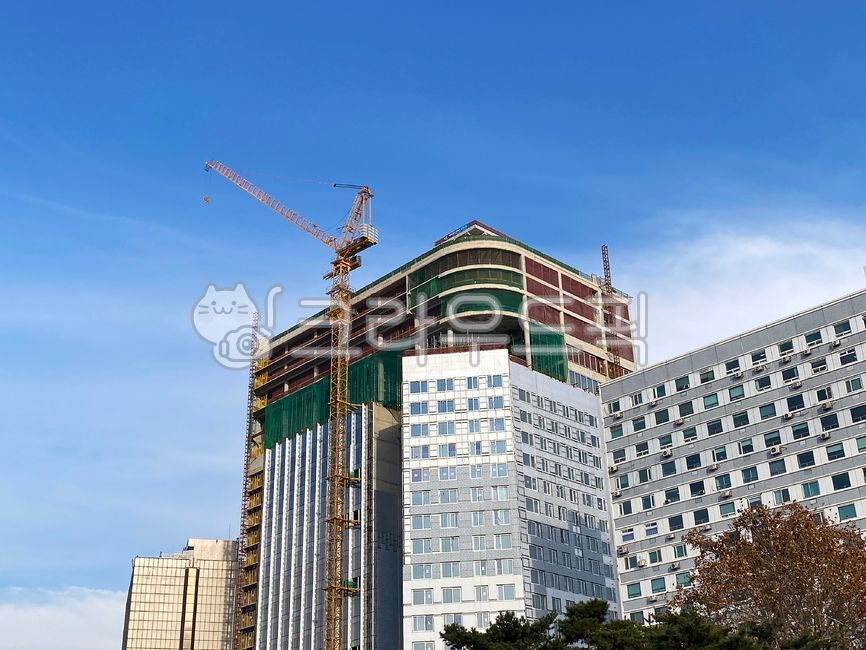 크레인,건설크레인,도시풍경,건설,현장,공사,건축,타워크레인,타워장비,중장비,건설장비,건물,건축물,빌딩,시멘트,콘크리트,철골,골조,도시,건설업,산업,건축업,crane,constructioncrane,cityscape,site,construction,towercrane,towerequipment,heavyequipment,constructionequipment,architecture,building,cement,concrete,steelframe,framing,city,constructionindustry,industry,buildingindustry