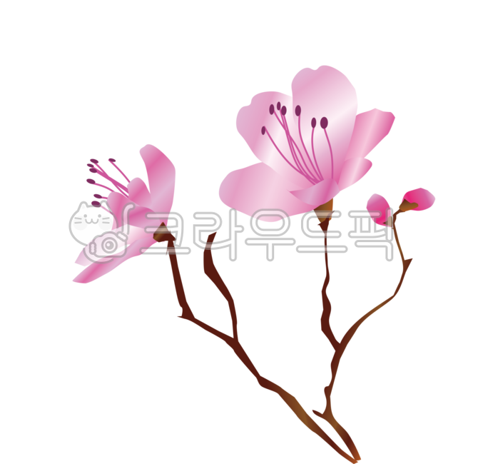 진달래,꽃,봄일러스트,진달래일러스트,꽃가지,봉오리,봄소식