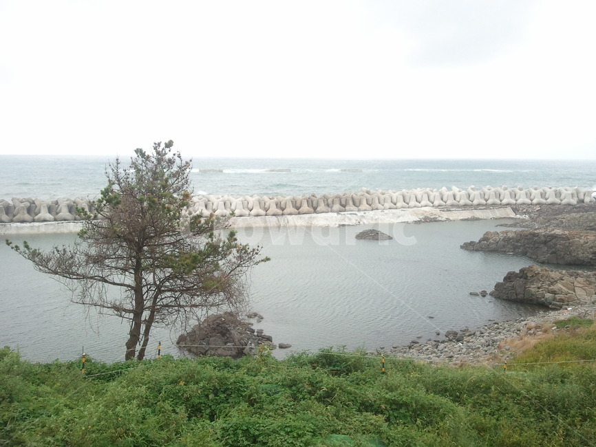 제주도,바다,풍경,흐림,경치,자연,풍경,nature,landscape,water,물,shoreline,해안선,outdoors,옥외,land,땅,ocean,대양,sea