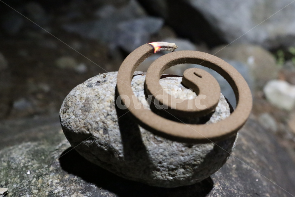 모기향,향냄새,모기퇴치,모기,해충