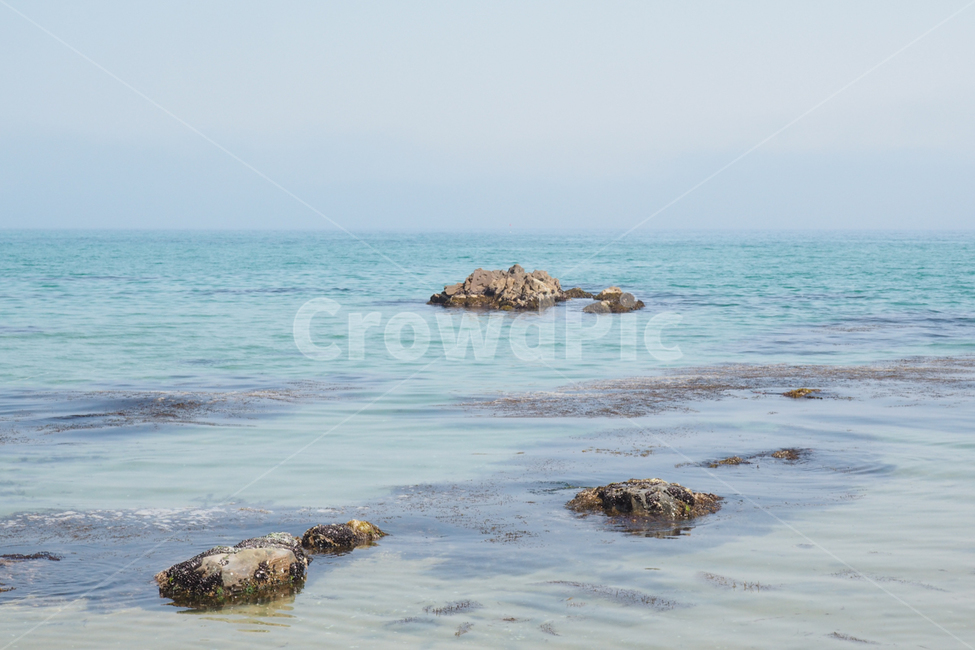 바다,정동진,바닷가,정동진바다,sea,beach