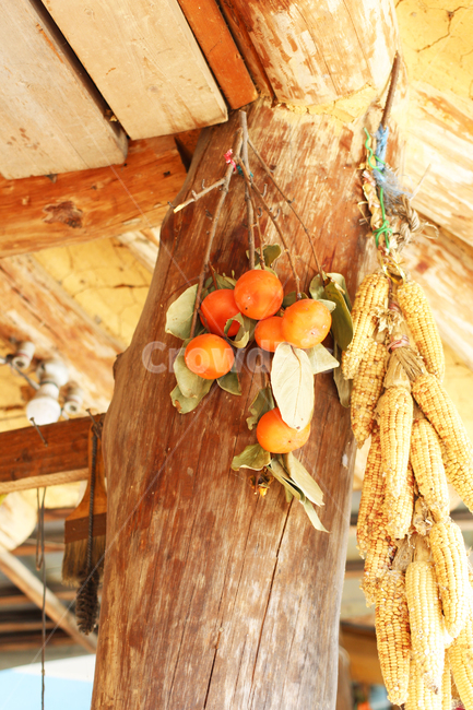 가을,자연,하늘,감,autumn,nature,sky,persimmon
