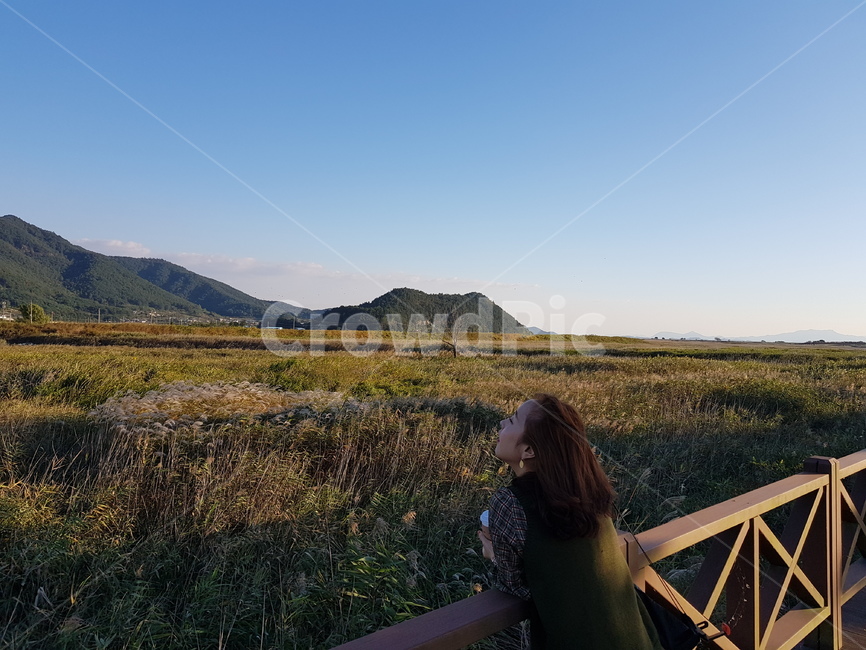 여자옆모습,순천만,갈대,가을,감상,감성,여행,풍경,다리위,하늘,산,자연,나무,들판,경치,women,profile,suncheon,reed,fall,autumn,appreciate,travel,scenery,bluesky,tree,field,가을,계절,fall,autumn,season,사람,인물,인간,human,person,여성,여자,woman,female,lady,railing,난간,outdoors,옥외