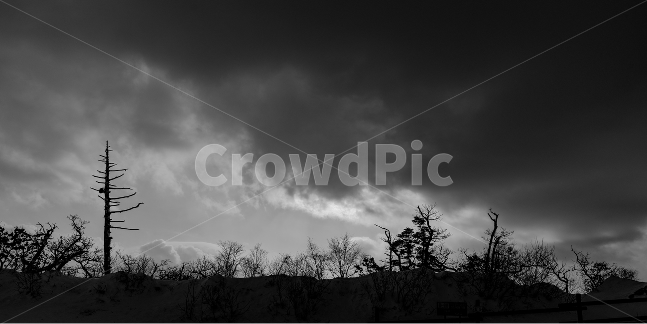 설경,덕유산,눈산,풍경,실루엣,landscape,snow,mountain,나무,흑백,자연,풍경,nature,landscape,흑백,모노톤,monochrome,black and white,weather,날씨