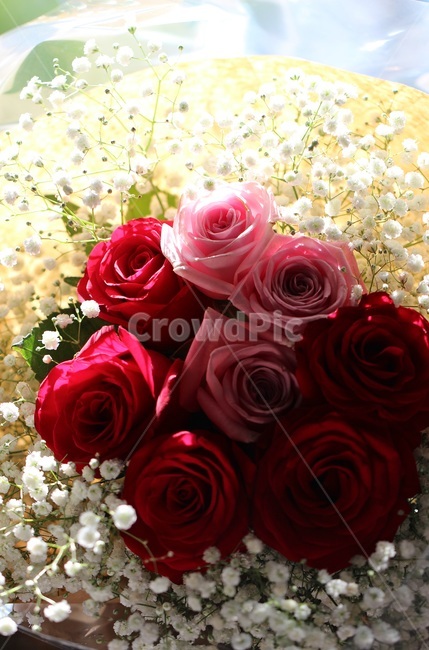 장미,안개,꽃다발,rose,abunchofflowers,꽃,기념일,축하,anniversary,congratulation,celebrate,celebration