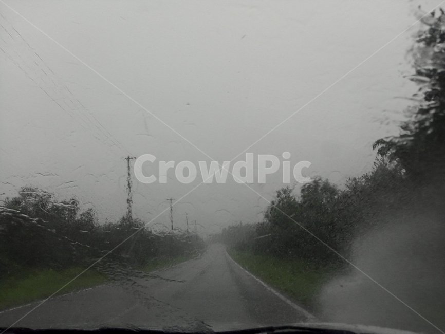nature,자연,weather,날씨,장마,흐린날씨