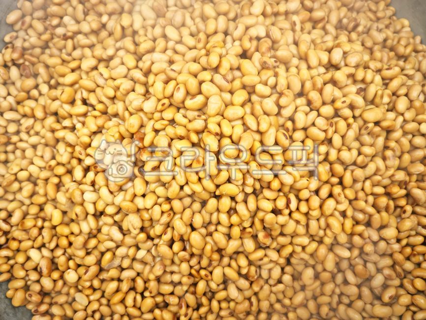 콩,메주콩,메주,메주콩삶기,배경,전통,백그라운드,음식