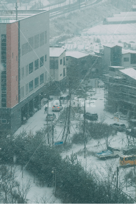 눈,겨울,배경화면,건물,자연,winter,함박눈,도로,차,nature,outdoors,옥외