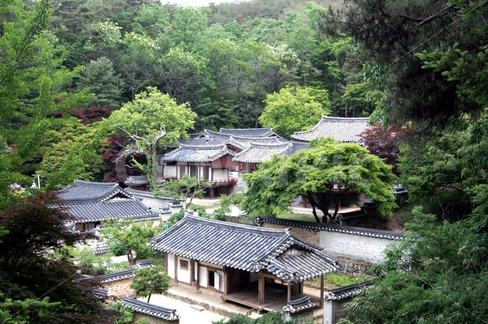 한국전통,천원,도산서원,봄,안동,랜드마크,landmark,tourist attraction,한국전통,한국문화,korean traditional,korean culture