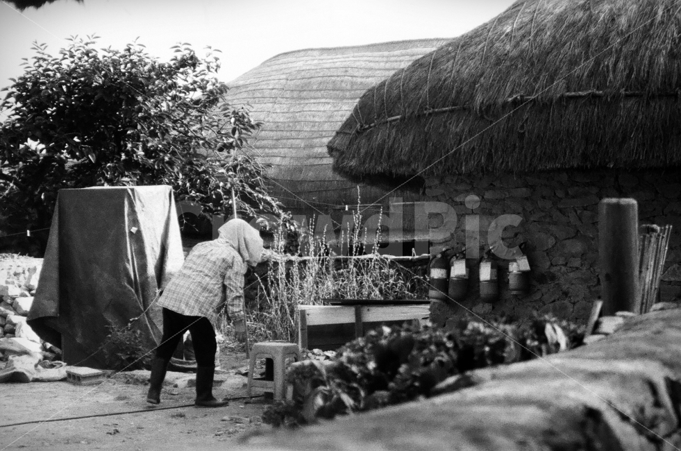 마을,일,초가집,초가,시골,흑백사진,시골,마을,풍경,landscape,country,rural,town,한국전통,한국문화,korean traditional,korean culture,사람,인물,인간,human,person,흑백,모노톤,monochrome,black and white