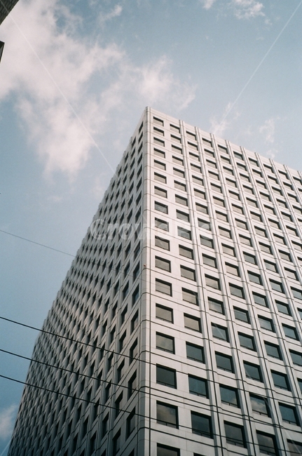 officebuilding,building,건물,건축물,빌딩,건축,사무실건물