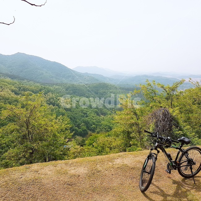 자전거,산악자전거,풍경,산,나무,여름