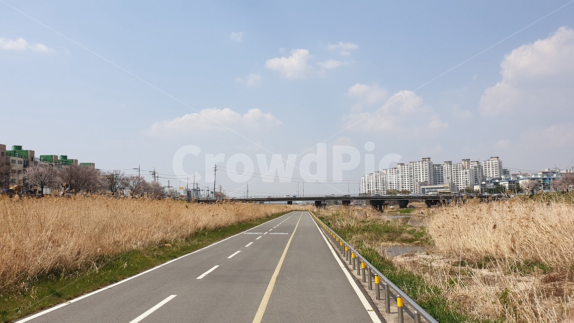 road,도로,freeway,갈대,길,자연,풍경,nature,landscape,highway,고속도로,고속 도로