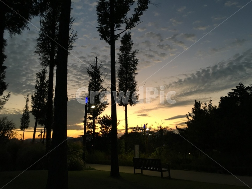 노을,풍경,구름,피크닉,하늘,공원,수목원,자연,풍경,nature,landscape,야경,밤,nightscape,night,bench,벤치,furniture,가구,tree,나무,plant,식물,outdoors,옥외