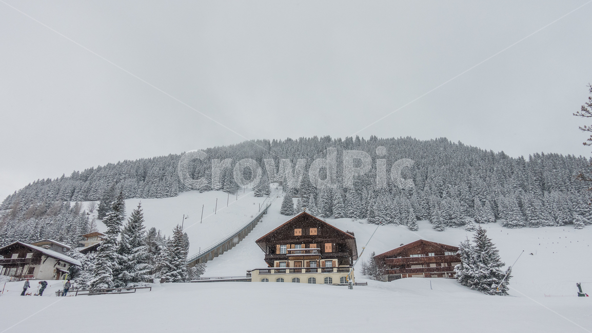 스위스,산,인터라켄,알프스,융프라우,뮤렌,swiss,mountain,interlakin,alps,jungfrau,murren,겨울,눈,겨울왕국,winter,snow,frozen,nature,나무,plant,자연,outdoors,식물,옥외,tree,겨울,계절,winter,season,자연,풍경,nature,landscape