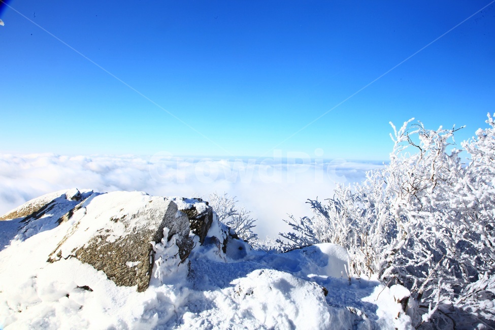 tree,나무,plant,식물,nature,자연,outdoors,옥외,ice,빙,snow,눈,mountain,산,mountainrange,산맥,상고대,무주,덕유산,덕유산설경,설경,설천봉,향적봉,중봉,덕유산국립공원,운해
