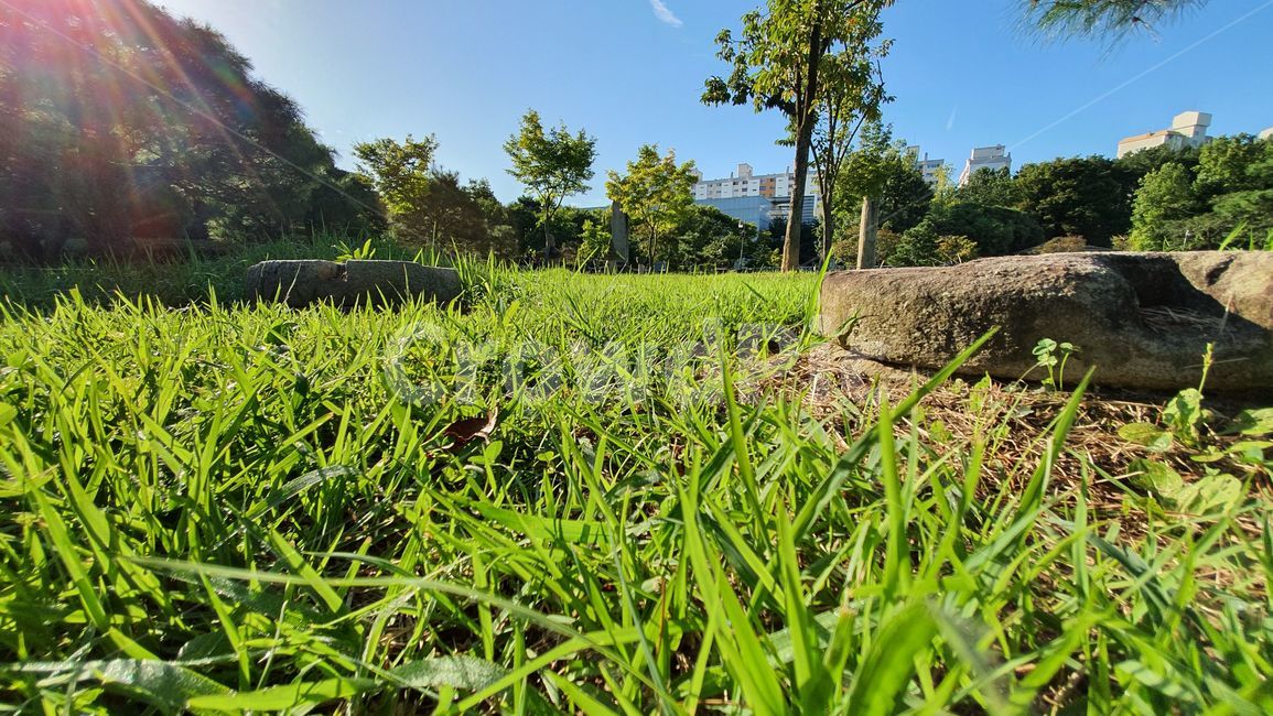field,들,nature,자연,outdoors,옥외