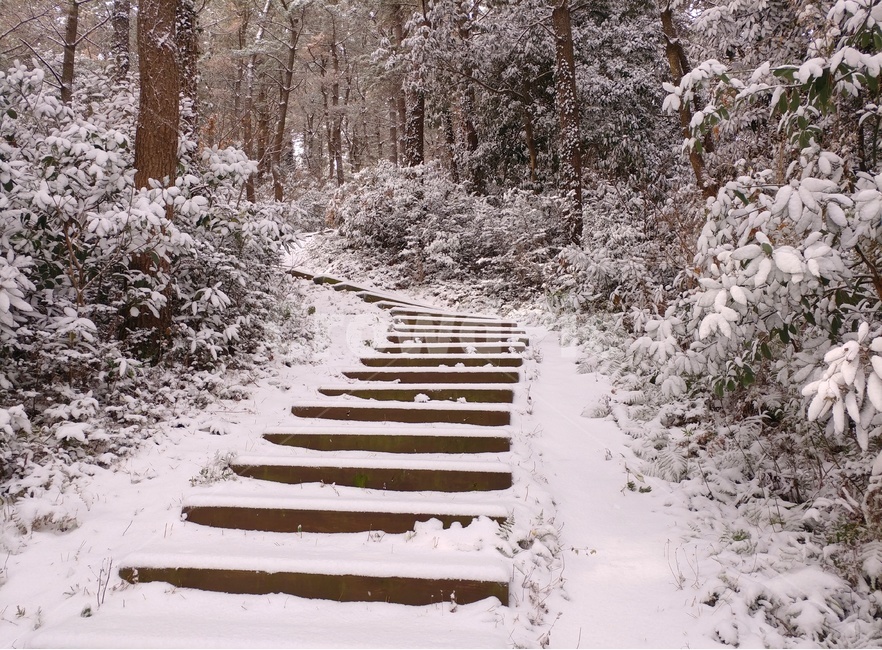 눈,겨울,풍경,감성,제주,제주풍경,하늘,구름,자연,바다,파도,겨울,계절,winter,season,자연,풍경,nature,landscape,outdoors,옥외