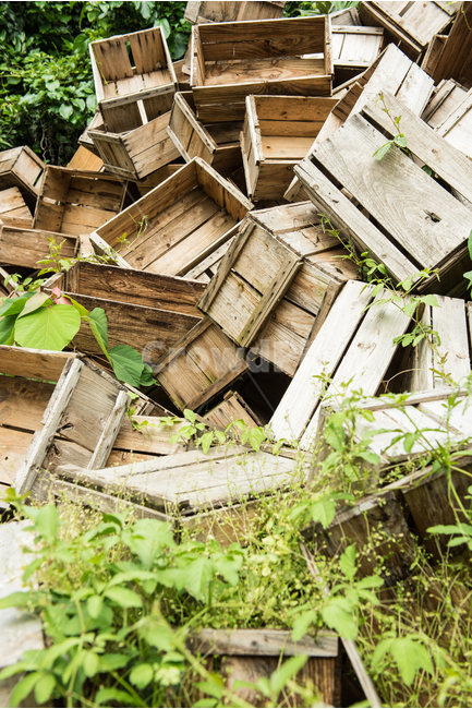chest,old,tree,mold,To stack up,apple box,desolate,background,complicated,wooden box,quiet,abandoned,fruit box