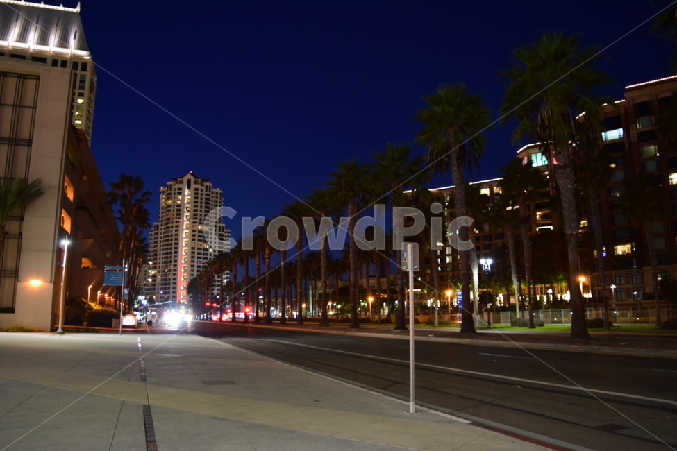 샌디에고,도시,길,건물,야경,밤,빛,sandiego,city,road,building,downtown,town,야경,밤,풍경,nightscape,night,landscape