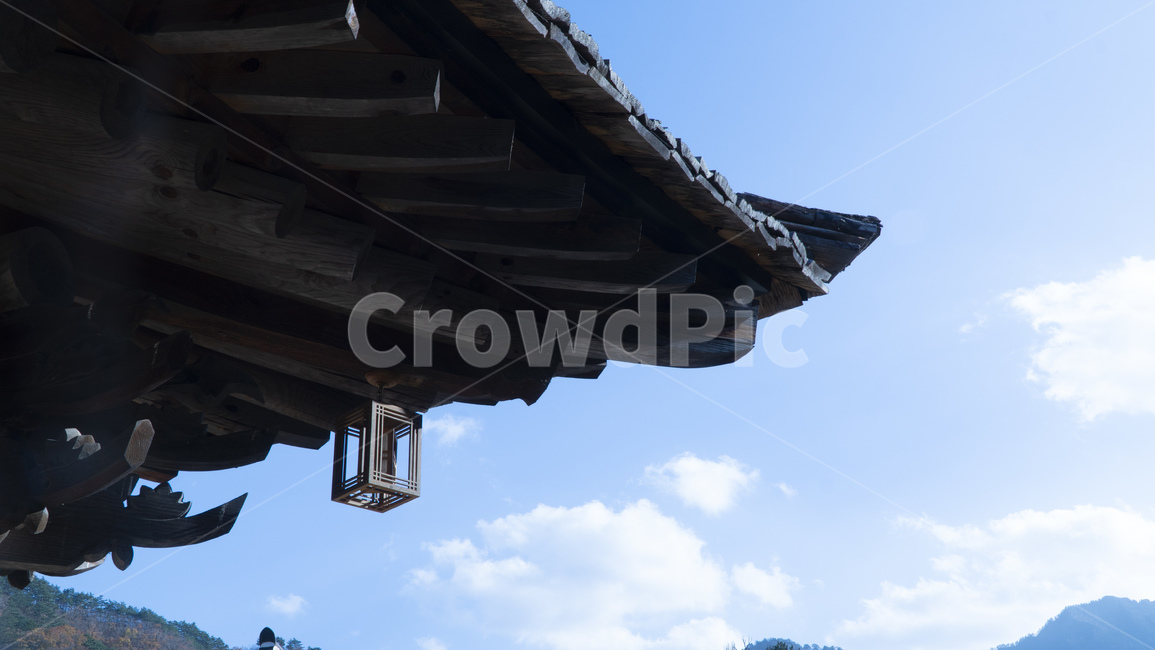 절,사찰,지붕,전등,서까래,한국,동양,건축,가을,한국전통,한국문화,korean traditional,korean culture