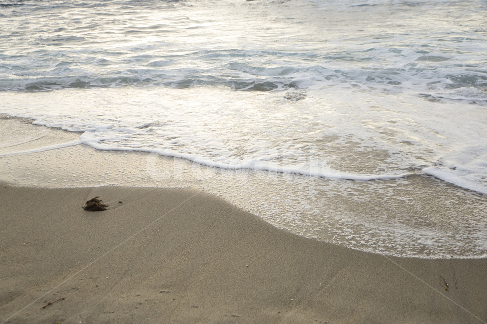 바다,비치,라호야코브,미국,캘리포니아,샌디에고,sandiego,usa,beach,sea,푸른,파란,파랑,물,돌,암석,lajollacove