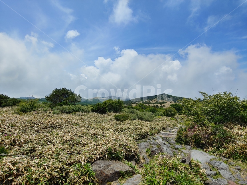산길,산,하늘,등산로,돌길,mountain,sky,clouds,green,초록,한라산,배경,데크,walkway,trail