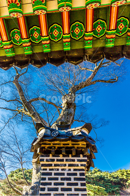 단청,굴뚝,고궁,문화유산,한국의미,패턴,한국전통,한국문화,korean traditional,korean culture,건축물,건물외관,exterior,building,structure,architecture,construction