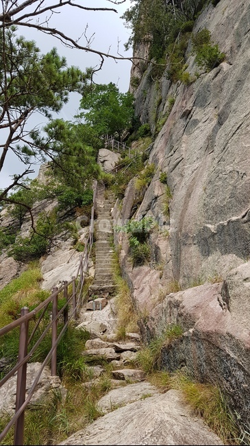 가파른길,나무,산,구름,풀