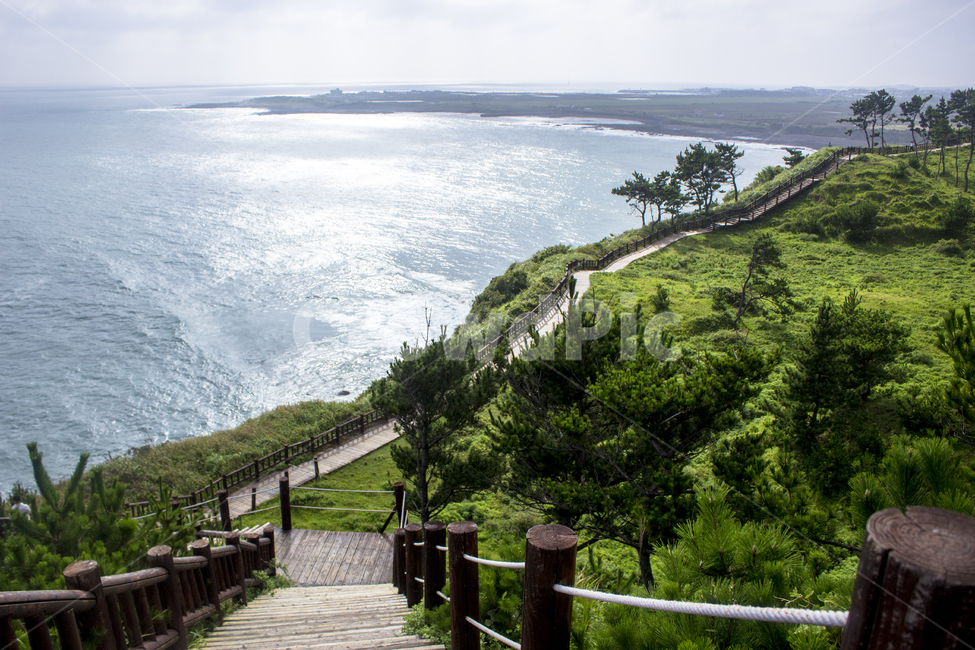 송악산,둘레길,풍경,바다,망망대해,내리막길,오후,낮,넓은,파노라마,장관,건물,외관,자연,풍경,nature,landscape,제주도,jeju,jeju island,outdoors,옥외,railing,난간