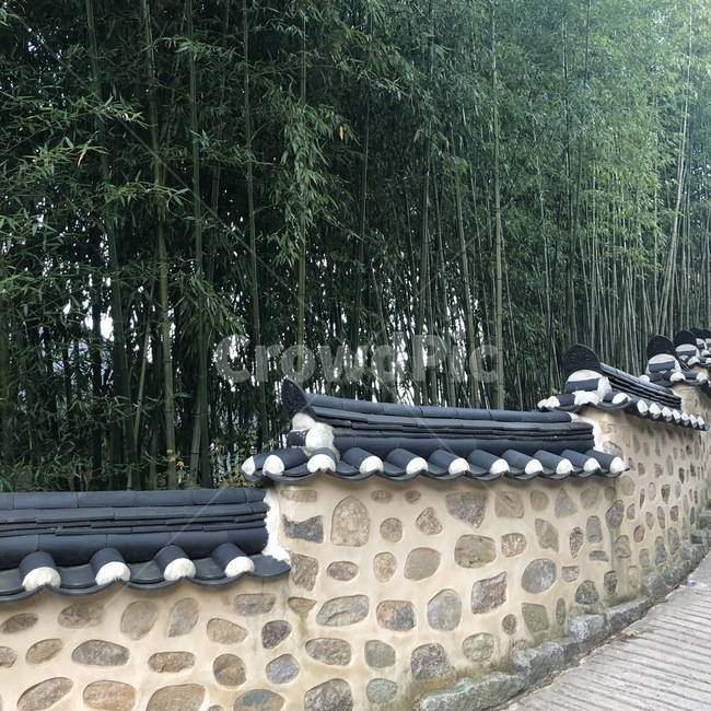 범어사,돌담,대나무,path,통로,plant,식물