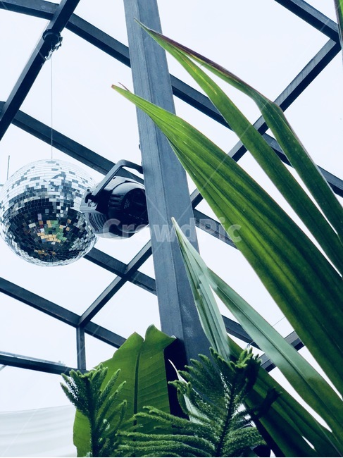 익선동,비,한옥,유리,테라스,미러볼,식물,자연,plants,nature,인테리어,실내디자인,interior design