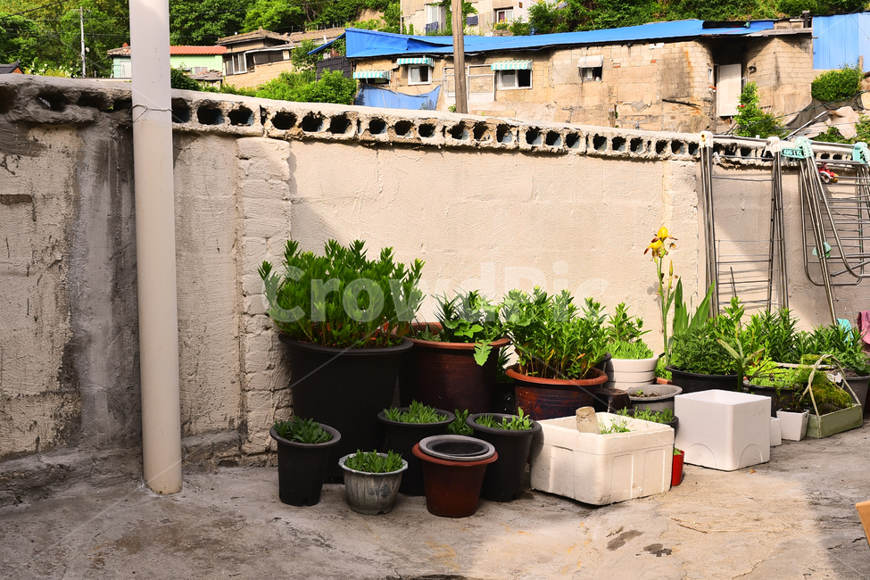 달동네,빈민촌,집,재개발,하우스,낡은,오래된,old,anoldhouse,poorhillsidevillage,가난,poor,언덕,마을,빌리지