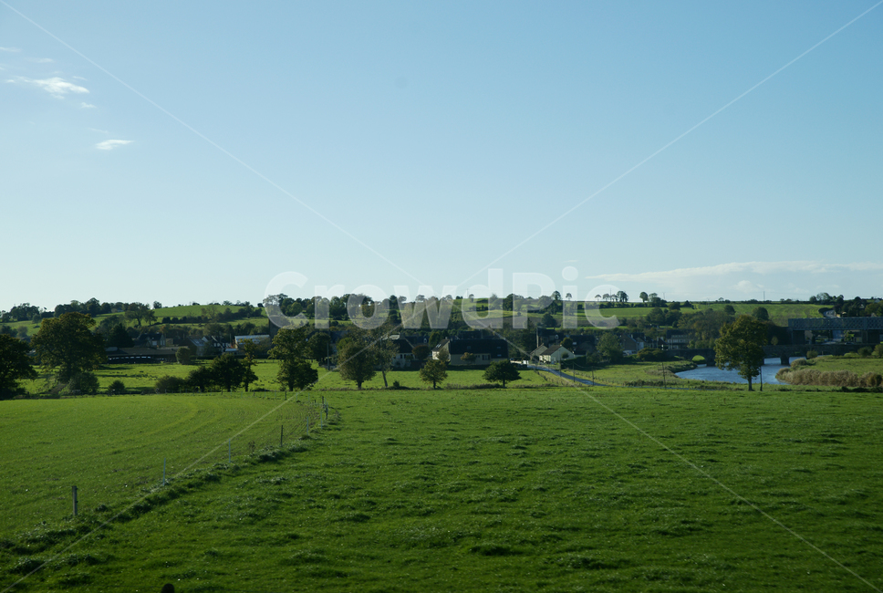 nature,자연,field,들,outdoors,animal,목초지,grassland,옥외,cattle,countryside,mammal,farm,농장,rural,유럽,프랑스,가을,하늘,구름,맑음,자연,풍경,nature,landscape