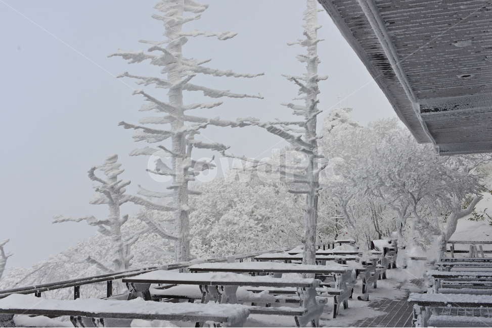 전북,무주,설천봉,상고대,상제루,mountainrange,산맥,winter,겨울,blizzard,눈보라,storm,폭풍,nature,자연,outdoors,옥외,ice,빙,snow,눈,mountain,산,겨울,계절,winter,season,자연,풍경,nature,landscape