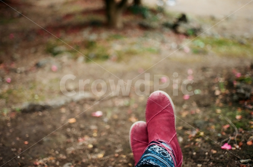 제주,동백,사람,인물,발,신발,감성,필름,필름사진,휴식,힐링,rest,relaxation,healing,사람,인물,인간,human,person,감성,sensible,feeling,연출,컨셉,콘셉,direction,concept