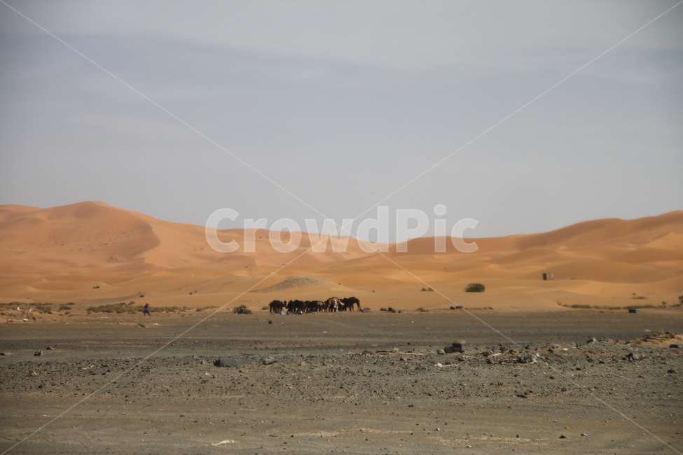 사막,사하라사막,모래,풍경,아프리카,모로코,사막풍경,풍경사진,자연풍경,모로코여행,sahara,건조,모래알,자연,풍경,nature,landscape,해외,외국,세계,foreign,oversea,world,세계자연풍경,해외자연풍경,외국자연풍경,world nature landscape,soil,흙,sand,outdoors,옥외,dune,모래 언덕