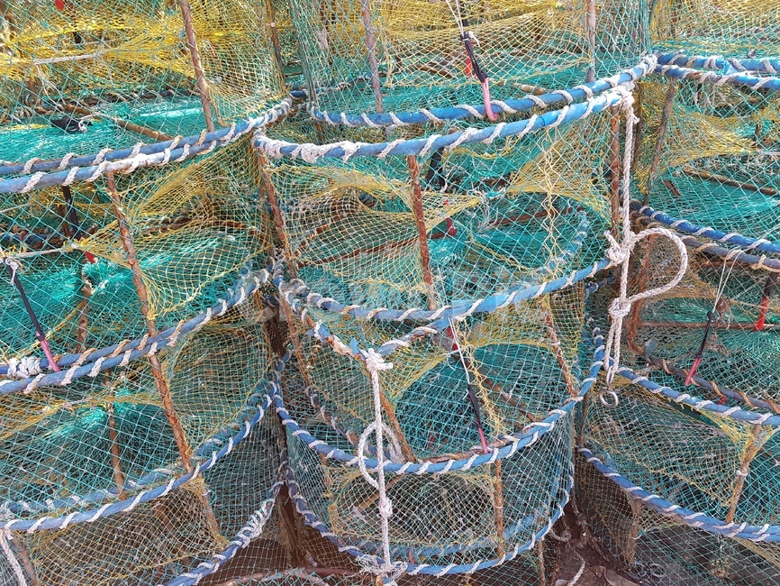 어망,항구,고기잡이,바다,어부,fishingnet,통발,harbor,어항,port,산업,industry,industrial,어업,fishery,fishing industry