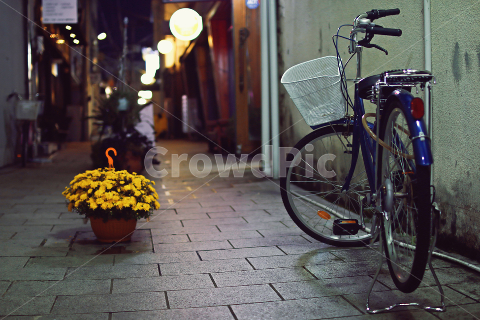 자전거,골목길,골목,감성,길거리,화단,보도블럭,저녁,가로등,bike,bicycle,벽,해질녘,고즈넉함,바퀴,노란색,꽃,뒷골목,주택가,밤