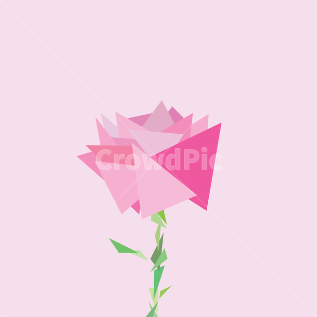 장미,꽃,폴리곤아트,도형,핑크