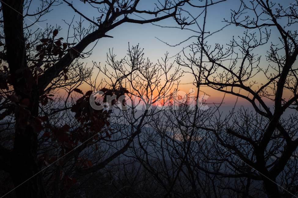 nature,자연,outdoors,옥외,실루엣,silhouette,일출,sunrise,sun,risingsun,sunrising
