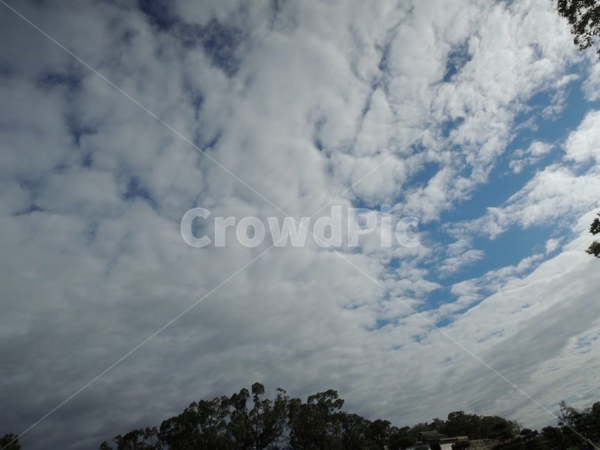 하늘,구름,나무,날씨,자연,자연,풍경,nature,landscape,outdoors,옥외,weather,cloud,sky,cumulus,적운