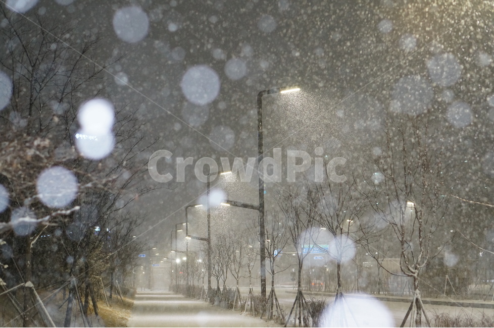 눈,야경,보케,밤,겨울,풍경,겨울,계절,winter,season,야경,밤,풍경,nightscape,night,landscape,도시,city,한국도시풍경,한국도시경관,korea cityscape,nature,자연,outdoors,옥외,blizzard,눈보라,snow,storm,폭풍